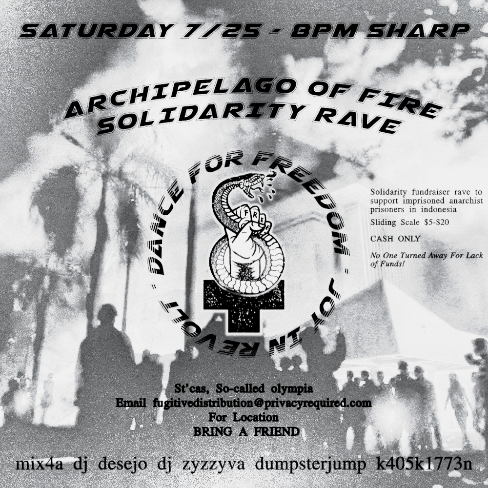 &ldquo;Flier for a rave: Saturday 7/25 8PM sharp. Archipelago of Fire Solidarity Rave&rdquo;